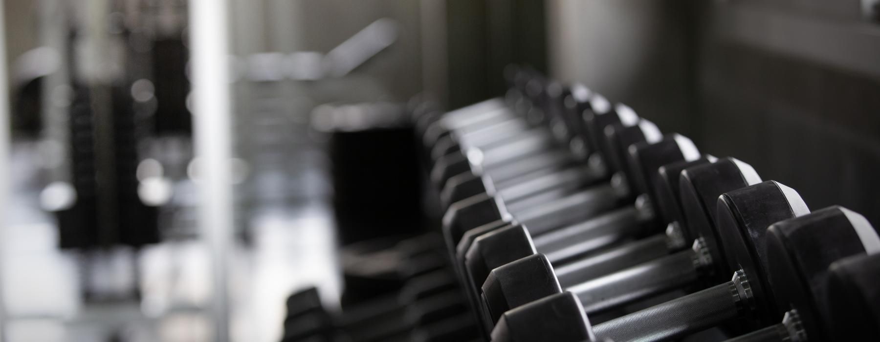 a row of black dumbbells
